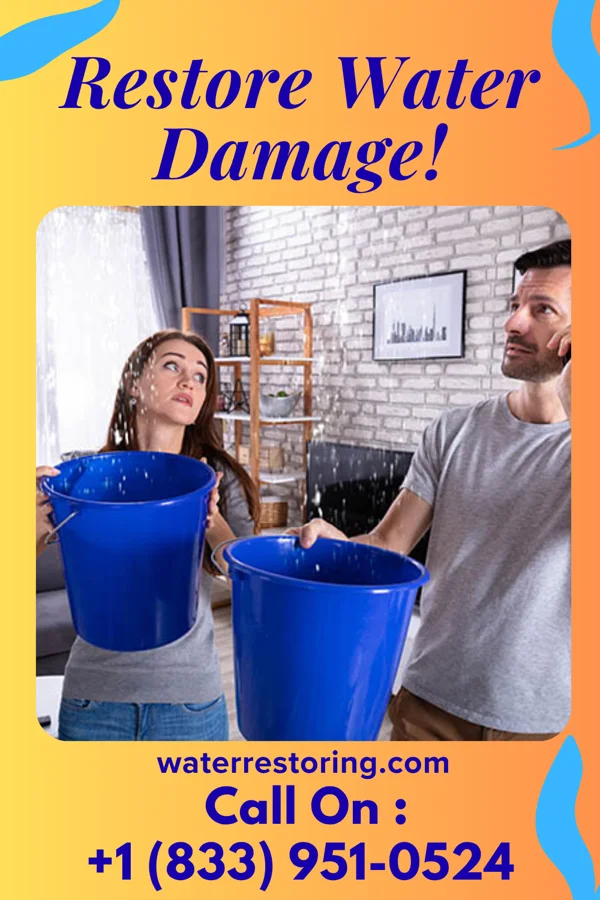 water restoration Direct Water Cleanup Group McKenzie