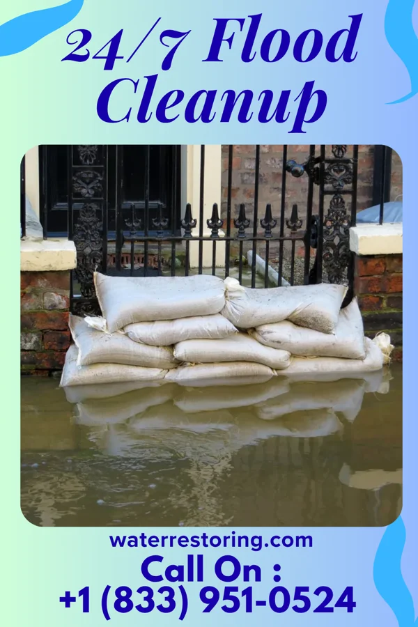 24/7 Flood Cleanup in McKenzie, AL